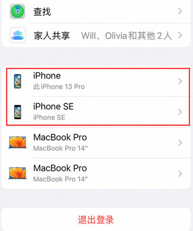 瑞溪镇苹瑞溪镇果维修网点分享iPhone如何查询序列号