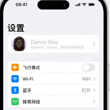 瑞溪镇appleID维修服务iPhone设置中Apple ID显示为灰色无法使用