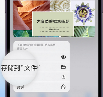 瑞溪镇apple维修中心分享iPhone文件应用中存储和找到下载文件