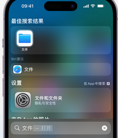 瑞溪镇apple维修中心分享iPhone文件应用中存储和找到下载文件