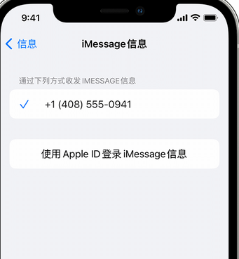 瑞溪镇apple维修iPhone上无法正常发送iMessage信息 