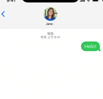 瑞溪镇apple维修iPhone上无法正常发送iMessage信息