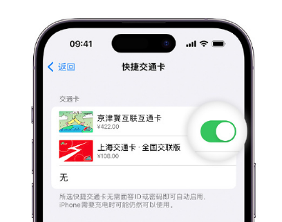 瑞溪镇apple维修点分享iPhone上更换Apple Pay快捷交通卡手绘卡面 