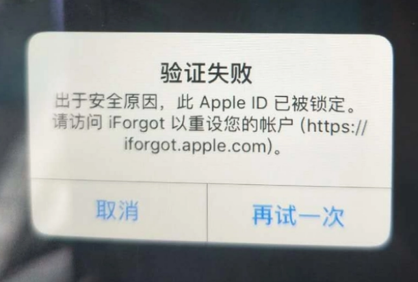 瑞溪镇iPhone维修分享iPhone上正常登录或使用AppleID怎么办 