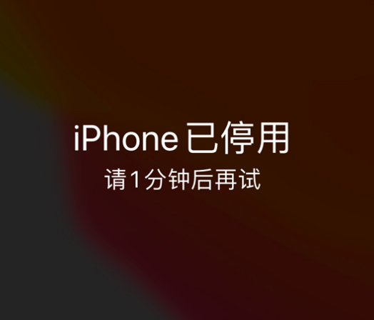 瑞溪镇苹果手机维修分享:iPhone 显示“不可用”或“已停用”怎么办？还能保留数据吗？ 