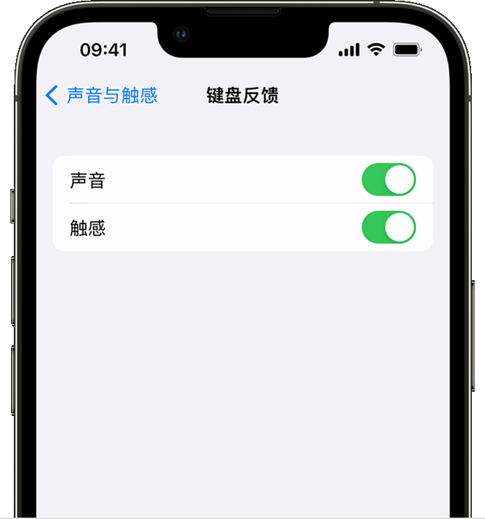 瑞溪镇苹果14维修店分享如何在 iPhone 14 机型中使用触感键盘 