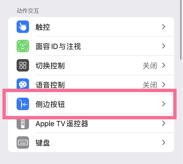 瑞溪镇苹果14维修店分享iPhone14 Plus侧键双击下载功能关闭方法 