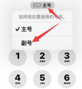 瑞溪镇苹果14维修店分享iPhone 14 Pro Max使用副卡打电话的方法 