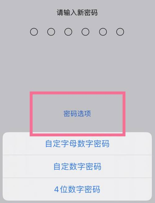 瑞溪镇苹果14维修分享iPhone 14plus设置密码的方法 