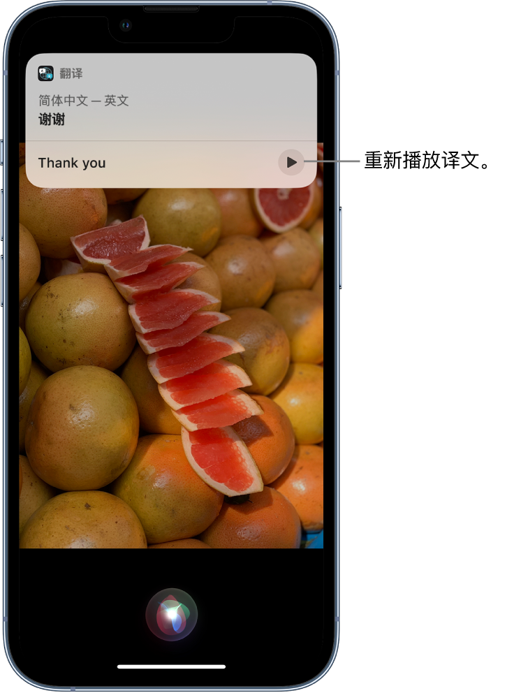 瑞溪镇苹果14维修分享 iPhone 14 机型中使用 Siri：了解 Siri 能帮你做什么 