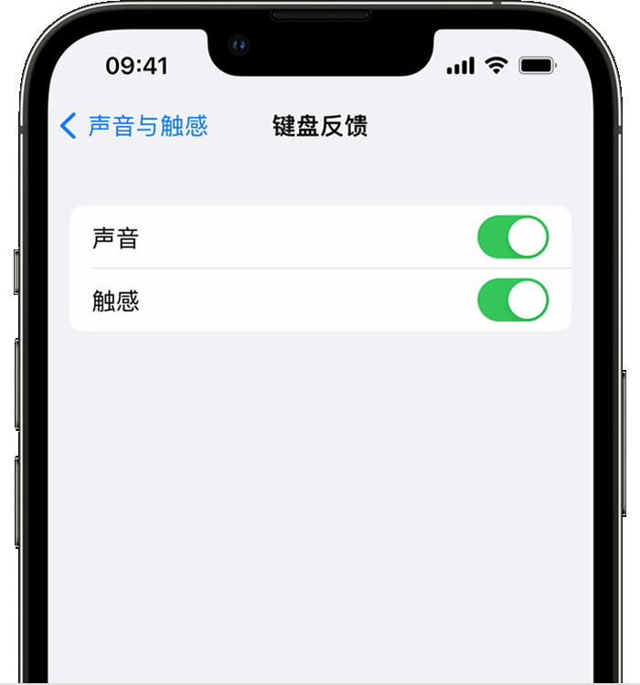 瑞溪镇苹果14维修分享iPhone 14 系列机型如何开启键盘声音或触感反馈 