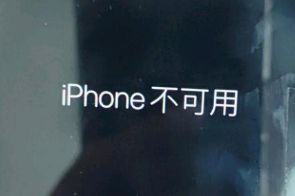 瑞溪镇苹果服务网点分享锁屏界面显示“iPhone 不可用”如何解决 