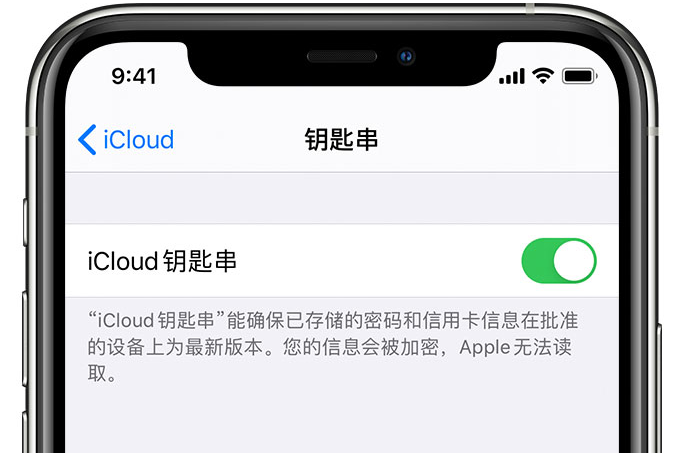 瑞溪镇苹果手机维修分享在 iPhone 上开启 iCloud 钥匙串之后会储存哪些信息 