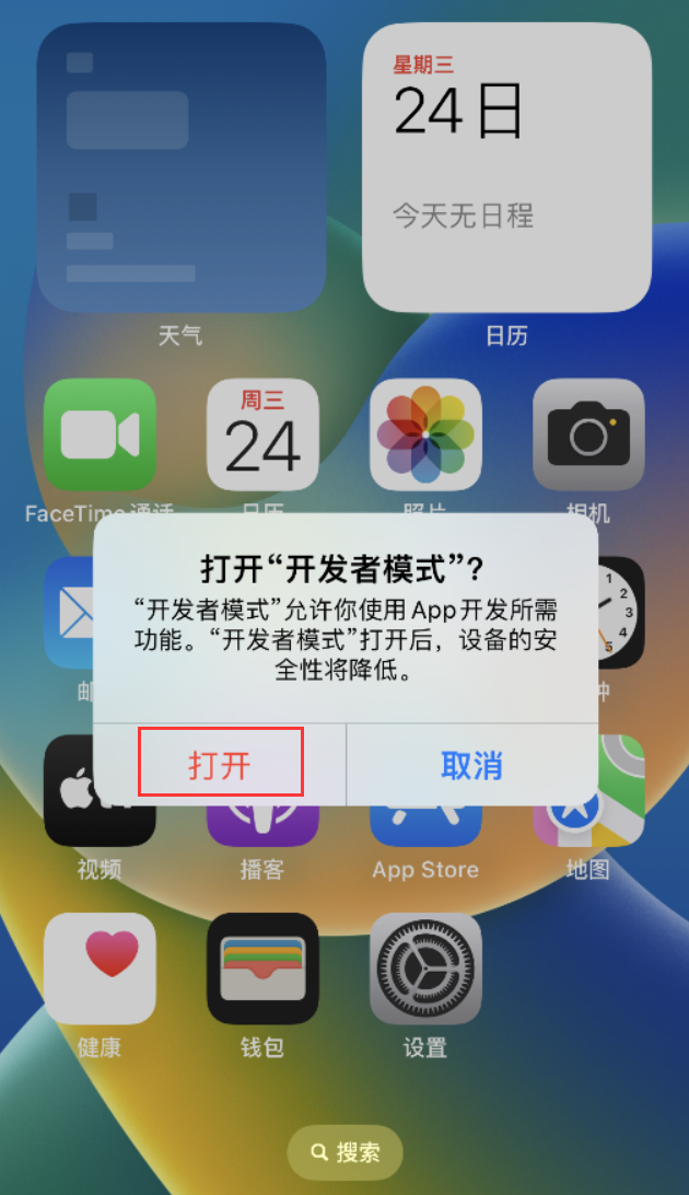 瑞溪镇苹果手机维修分享如何打开开发者模式 