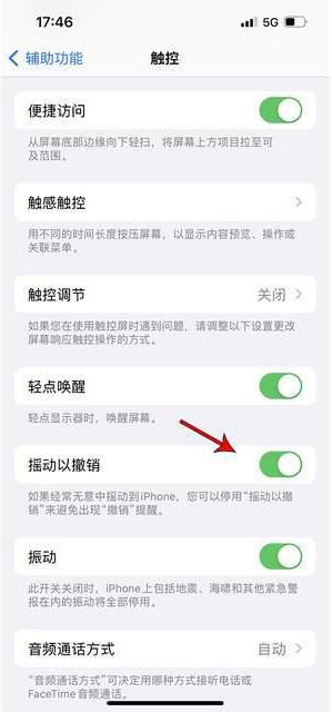 瑞溪镇苹果手机维修分享iPhone手机如何设置摇一摇删除文字 