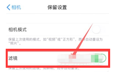 瑞溪镇苹果13维修分享iPhone13拍照有绿点是怎么回事 