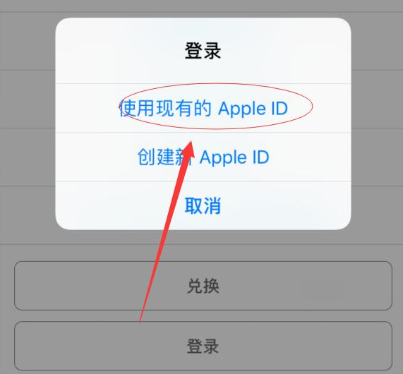 瑞溪镇苹果手机维修分享两台iPhone设备可以同时登录一个Apple ID吗 