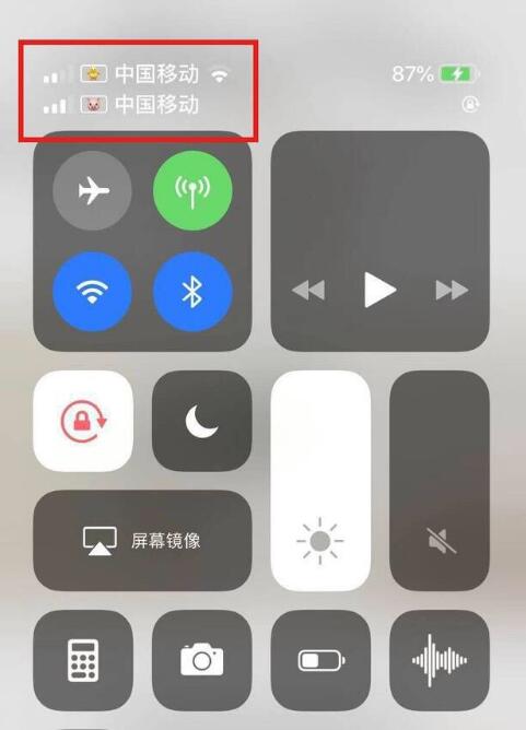 瑞溪镇苹果手机维修分享为 iPhone 12 双卡设置标签 