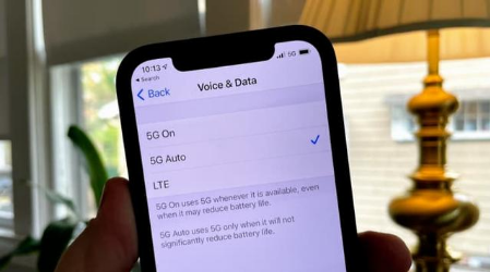 瑞溪镇苹果手机维修分享iPhone 12如何打开或关闭5G网络 